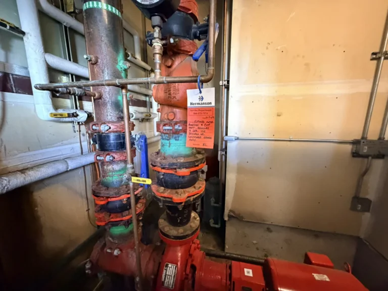 Hydronic pumps and piping in a commercial mechanical room