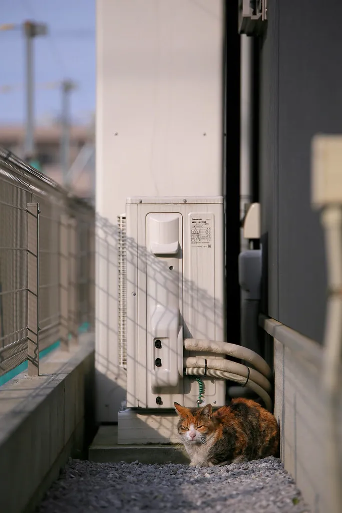 Heat pump water heaters for restaurants, apartments and businesses: a practical guide